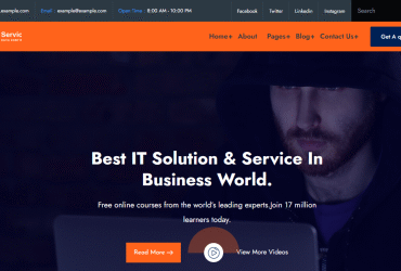 Badsa - IT Solutions & Technology WordPress Theme