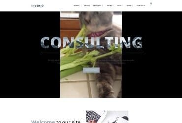 Invenio - Classy Financial Advisor WordPress Theme