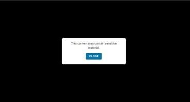 WP Plugin Ultimate Sensitive Content Guard