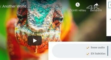 Media Mixer Plus WordPress Plugin