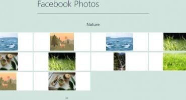 Social Feed WordPress Plugin