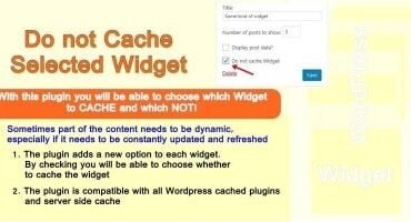 Do Not Cache Selected Widget WordPress Plugin