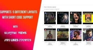 YouTube Gallery With Views and Likes Counter WP