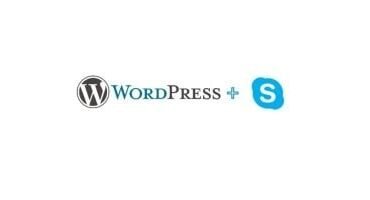 Skype Button WordPress Widget