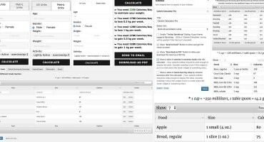 Calorie Calculator Pro - WordPress Plugin