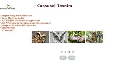 Carousel Tasnim - WordPress Slider Plugin